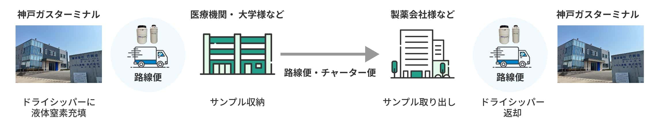 ①ドライシッパーに液体窒素充填②サンプル収納③サンプル取り出し④ドライシッパー返却
